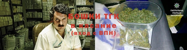 гидропоника Алзамай