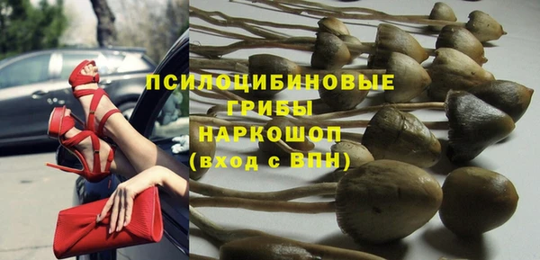 гидропоника Алзамай