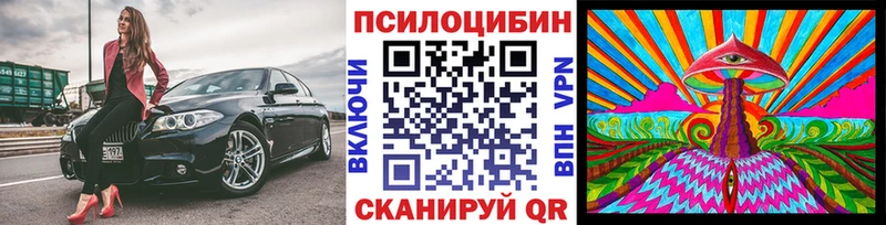 Псилоцибиновые грибы Magic Shrooms  закладка  Пошехонье 